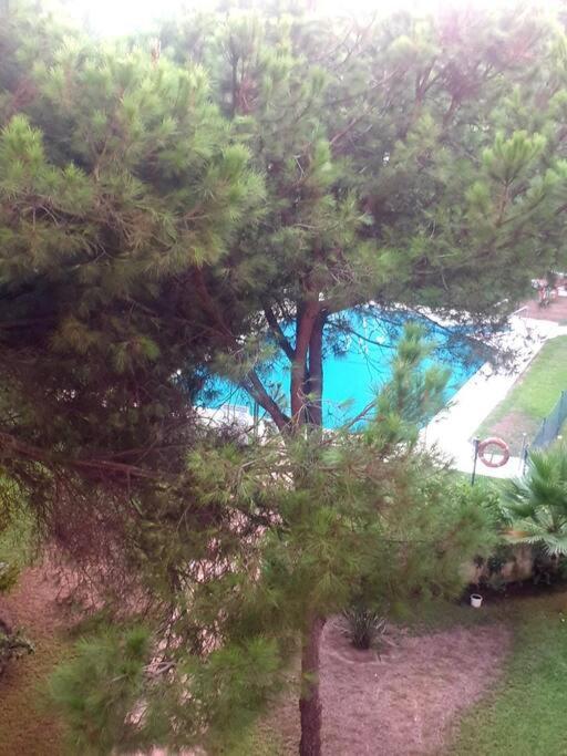 Appartement Precioso Estudio Con Piscina A 200m Del Mar Marbellac