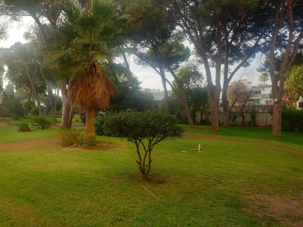 Precioso Estudio Con Piscina A 200m Del Mar Apartament *